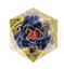 Magic The Gathering MTG Black Lotus 54mm Oversized Spindown D20 Die (Sirius Dice)